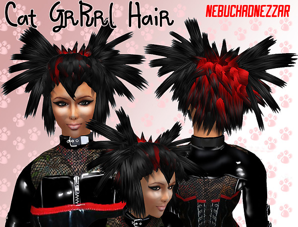 NDN - CATGRRRL Hair : Hair Fair 2009 Auction Hair Prize
