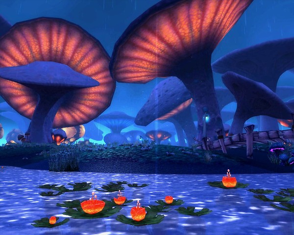 Mushrooms and flowers