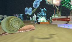 Snail:))