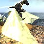 dragons on wetlands