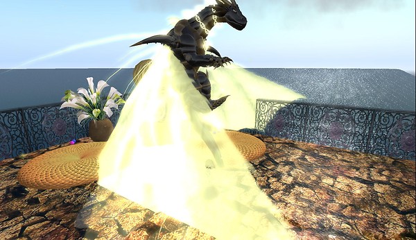 dragons on wetlands