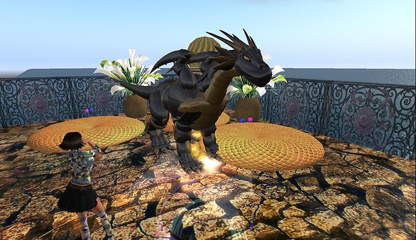 rafee, aoshi on wetlands