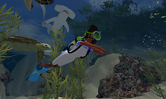 diving