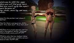 Lag fair