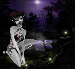 forest3 copy