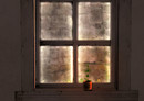 In The Still Evening