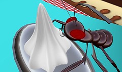 Eww bugs in the candy! - Lorimae Undercroft