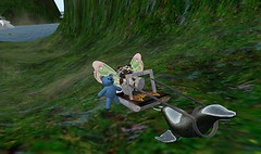 seal racing - Lorimae Undercroft