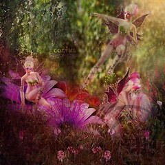 Juliana Mistrick - Fairy Theme 2 (Fixed)