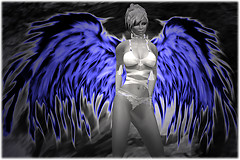 Blue Angel