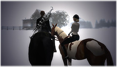 Winter 3