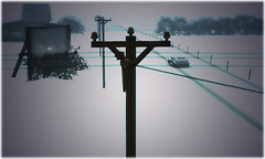 Winter 2