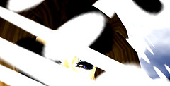 eye_001