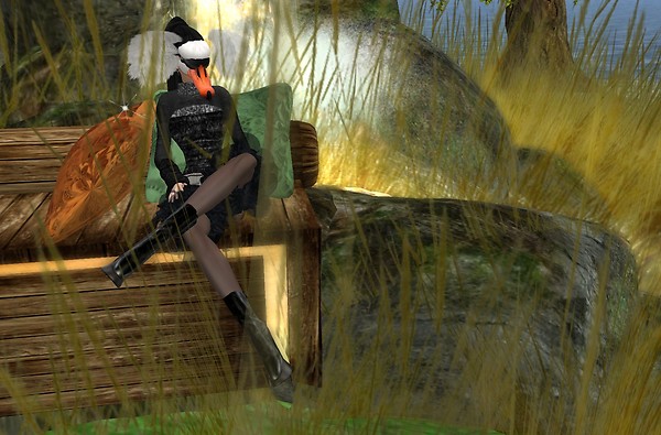 Ducky in the long grass - Ravenelle Zugzwang