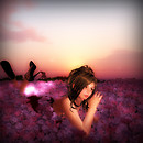 A Sweet Smell