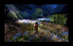quiet dance