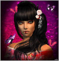 [Tutorial] Geisha
