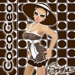 CoCoGeoDisplayLiesureStyle