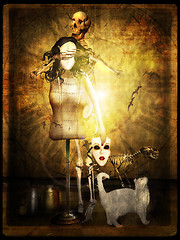 seamstress and cat