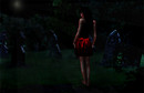 The vampire's night