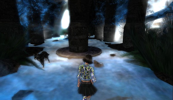 rafee exploring virtual worlds