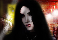 Pale Shelter