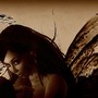 fee wings