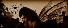 fee wings