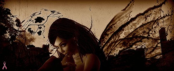 fee wings