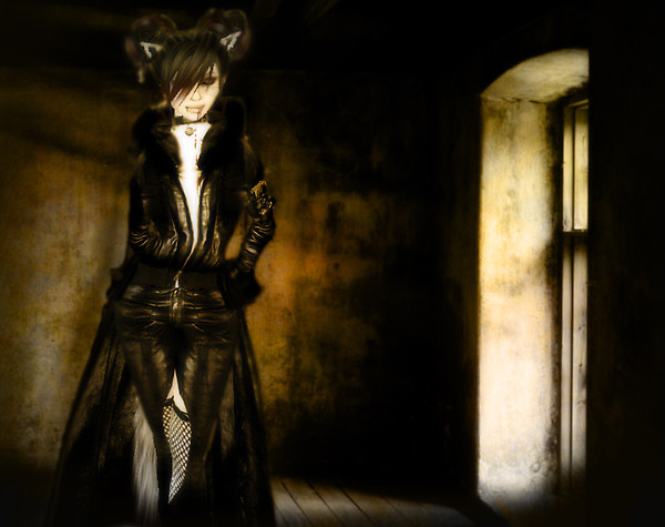 In the Dark of the Light