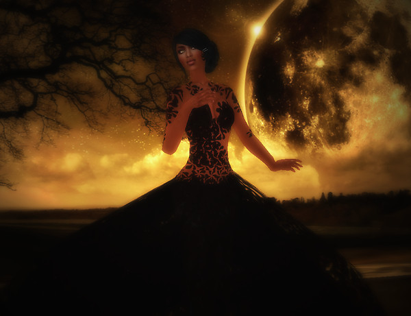 Elissiana  in Phoenix Night