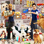 petshop do will