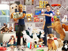 petshop do will