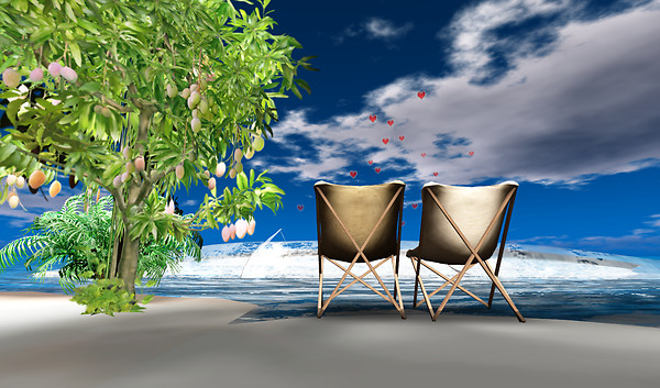 The Mango Tree