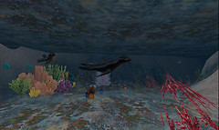 In the Underwater Cave