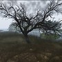 Jaded Wings - Marsh