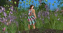 summer meadow