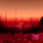Sunset in Bloodmyst Isle