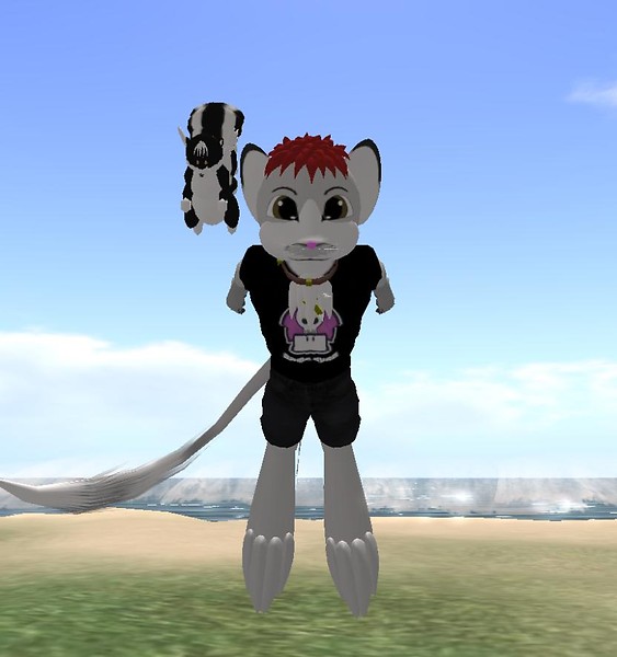Prepare To Be Pounced! - Draygone Llewellyn