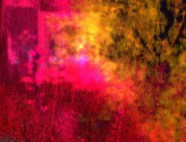 Lightglow Plantscape@SL6B