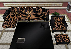 Leopard Couch W/Poses