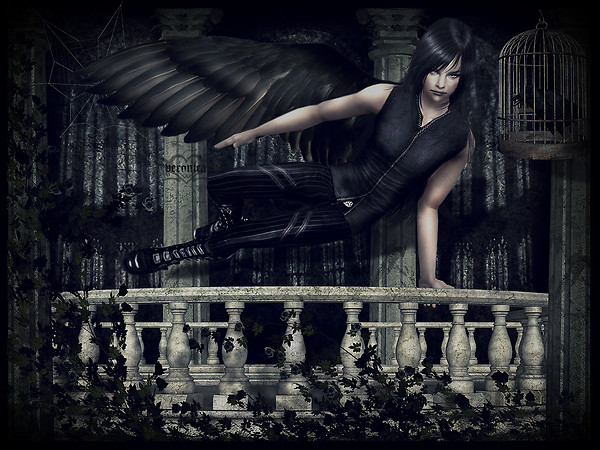 Single wing