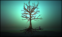 Tree Green