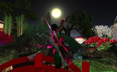 touch the moon - Torley Olmstead