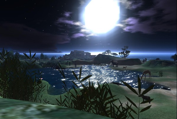 Africa by Moonlight - Vlad Bjornson