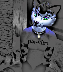 Purvert