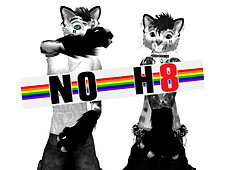 No H8 kittehs