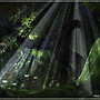 Deep Forest