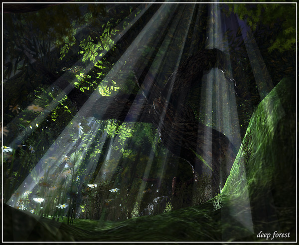 Deep Forest