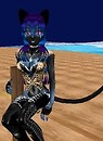 Blue Kitty